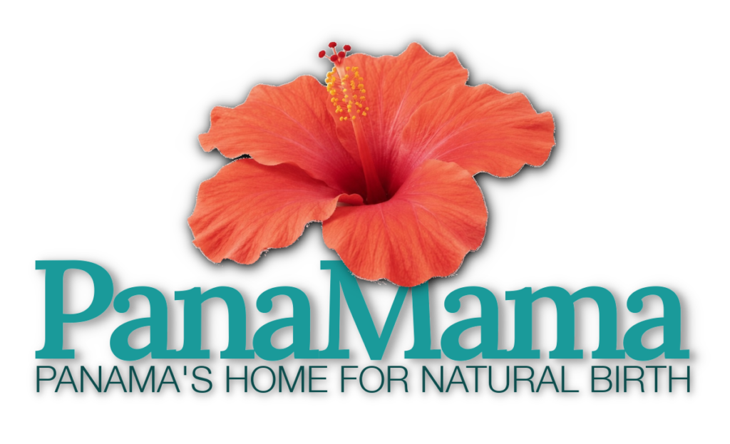 PanaMama logo